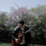 D.C Cross in Beechworth