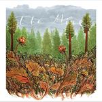 Sebastian Mattebo - The Mire