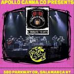 MTV Unplugged Tribute Band at Apollo Canna Company