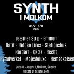 Synth i Molkom 2026