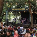 Dallas Zoo - Safari Nights (w/ Topanga)