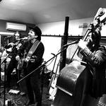 Roger Street Friedman Trio at The Lions Den