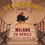 Pellegrino Dance Rituals 4tet live