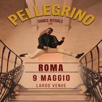 Pellegrino Dance Rituals 4tet live