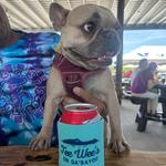 Dustin Lee Guedry @ Teewees