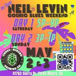 Cosmic Blues Weekend