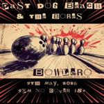 Past Dog Beach & The Bores