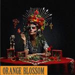 Festival D’Été • Orange Blossom I Nashwa