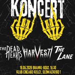 The Dead Hearts | The Lane | Harvest in Chicago Pub, Kielce