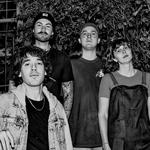 Punk Palouse Fest  2026