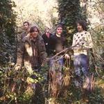 The Junipers