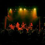 Kind Hearted Strangers