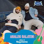 Analog Balaton I VéNégy Fesztivál 2026 I 07.03.