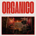Organico groove collective