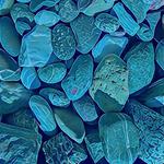 Folkadelic 3 plus special guest: Paul McIntire on violin!