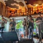 Full Cord at Lake Ann Brewing