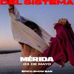 Surfistas del Sistema en Mérida