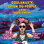 Festival Falk'n'Fest #8