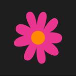 Bloom Venice Festival