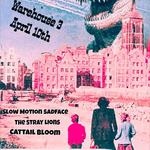 Slow Motion Sadface // The Stray Lions // Cattail Bloom @ Warehouse 3 April 10th