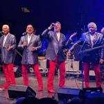 Jay and the Americans LIVE in St Cloud, MN