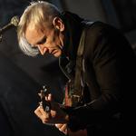 WOLF LOST IN THE POEM