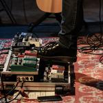 WOLF LOST IN THE POEM