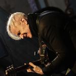 WOLF LOST IN THE POEM