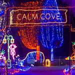 New Year's Eve at CALM