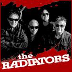 The Radiators at Caringbah Hotel, Caringbah, NSW