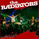 The Radiators at Airlie Beach Festival Of Music 2026, Airlie Beach, QLD