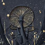 The Understory Festival 2026