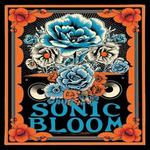 Sonic Bloom: The Mascot Theory & Friends at Seminole Tap