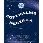 Soft Palms w/ Pegzilla @ Out There Bar - Twentynine Palms, CA