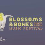 Tone Ranger afterparty @ Blossoms & Bones: Ghost Ranch Music Festival 2026