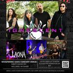 Armed Disciple Music Festival 