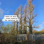 Leave on Mute + Ciara McNally + The Spinning Boy