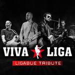 VIVA LIGA - Luciano Ligabue tribute
