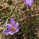 MILION TONU PRO DEMOKRACII 2026