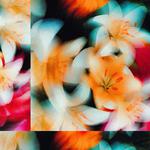 DOMINGO / 04.24 / GRAND CAFÉ SZEGED