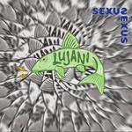 Lujanikoncert til Dyssefest