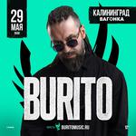 Сольник в Калининграде.