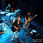 Austintown Park Summer Concert Series 