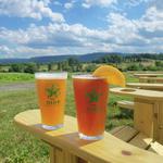 The Allied Brewing Summer Solstice  Party feat. Funk Evolution Entertainment