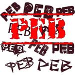 Festival de rock con causa