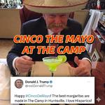 Gringo de Mayo