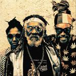 McAnuff Family & The Ligerians [Festival du Bout du Monde]