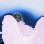 Sattalite - Album Release Party