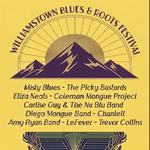 Williamstown Blues & Roots Festival  2026