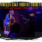 Smells Like Nirvana: MTV Unplugged Tribute
